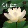 見(jiàn)笑
